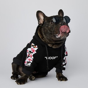 Moda a juego perro y sudaderas con capucha humana <span class=keywords><strong>bulldog</strong></span> francés Sudadera con capucha fábrica al por mayor suministro de ropa para mascotas gordas - Product Image 6