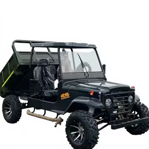 Mini Jeep de Gasolina de 150cc/250cc/350cc con 2 Asientos para Niños y Adultos - Product Image 1