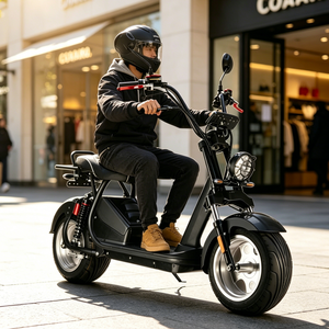 Motocicletta Elettrica Stile Americano 1500W, Batteria al Litio 60V, 45km/h, Pneumatici da 10 Pollici, Doppio Freno a Disco, Sospensioni - Product Image 6