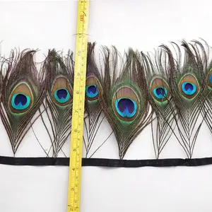 羽毛批发孔雀眼羽毛装饰和条纹工艺品服装装饰
