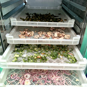 Séchoir à oignon à température réglable, four de séchage alimentaire à circulation d'air chaud, équipement de transformation alimentaire - Product Image 1