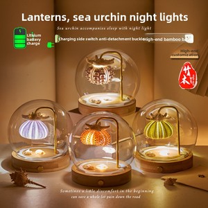 Lámpara Nocturna Recargable de Cristal con Forma de Erizo de Mar - Lista para Usar, Regalo para Niñas en Cumpleaños, San Valentín y Festival Qixi - Product Image 5