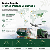 Durlevel Appel Fruitpoeder GMP Gecertificeerd OEM ODM Aanbod voor Voedingsmiddelen- en Drankmerken Met Ondersteuning voor Aangepaste Productontwikkeling