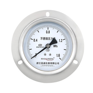 Y100ZTBF Oil-fillable Axial Pressure <b>Gauge</b> with Edge, WIKA Style, Water/Gas Pressure Universal, M20*1.5 Stainless Steel - Product Image 2