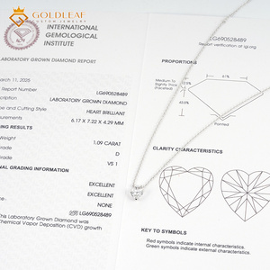 Collar Clásico Goldleaf Love con Corte de Corazón Personalizado, Diamantes de Laboratorio de 1.09 CT, Color D, Claridad VS1, Certificado IGI, Cadena de Oro de 14K - Product Image 6