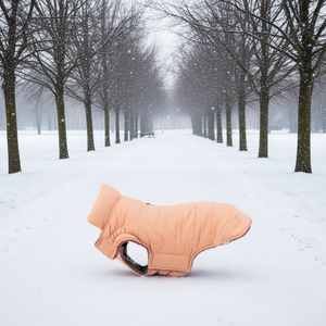 Abrigo de Invierno para Perros Talla XXS 24 cm Color Albaricoque Ropa para Mascotas - Product Image 3