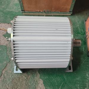 Alternatore a Magneti Permanenti Trifase 1KW-500KW 110V 220V 380V ad Alta Coppia e Basso Numero di Giri di Avvio per Energie Rinnovabili - Product Image 5