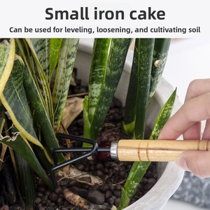 Ensemble de jardinage : Râteau, pelle pointue en fer, <span class=keywords><strong>grand</strong></span> outil de jardinage, ensemble de trois pièces avec manche en bois, mini-outil pour ameublir la terre pour plantes succulentes - Product Image 2