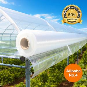 农业温室Serre Agricole完整耕作系统，配有200微米抗紫外线塑料膜和聚隧道覆盖 - Product Image 2