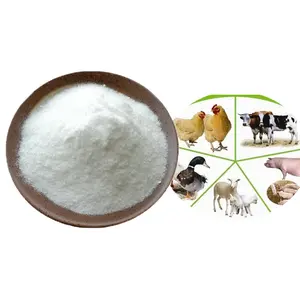 High quality feed grade 98% animal feed additive lysine