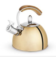Bouilloire pour cuisinière à gaz, bouilloire à eau en acier inoxydable, bouilloire à café, théière, bouilloire à eau chaude pour cuisinière, sifflet