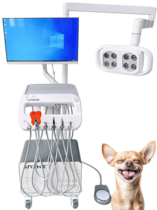 Unité <span class=keywords><strong>dentaire</strong></span> mobile portable avec lampe LED, chariot de traitement <span class=keywords><strong>dentaire</strong></span> pour clinique médicale, podologie et vétérinaire, équipement <span class=keywords><strong>dentaire</strong></span> - Product Image 1