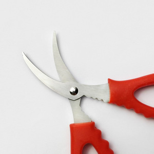 Stainless Steel Shrimp Deveining Scissors Red Ultra Sharp Kitchen Tool For Seafood Preparation - Product Image 1