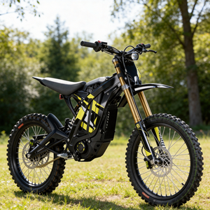 Motocicleta Todoterreno Eléctrica con Motor sin Escobillas de 60V 40AH 266N.m y Alcance de 120km, Precio de Fábrica - Product Image 1