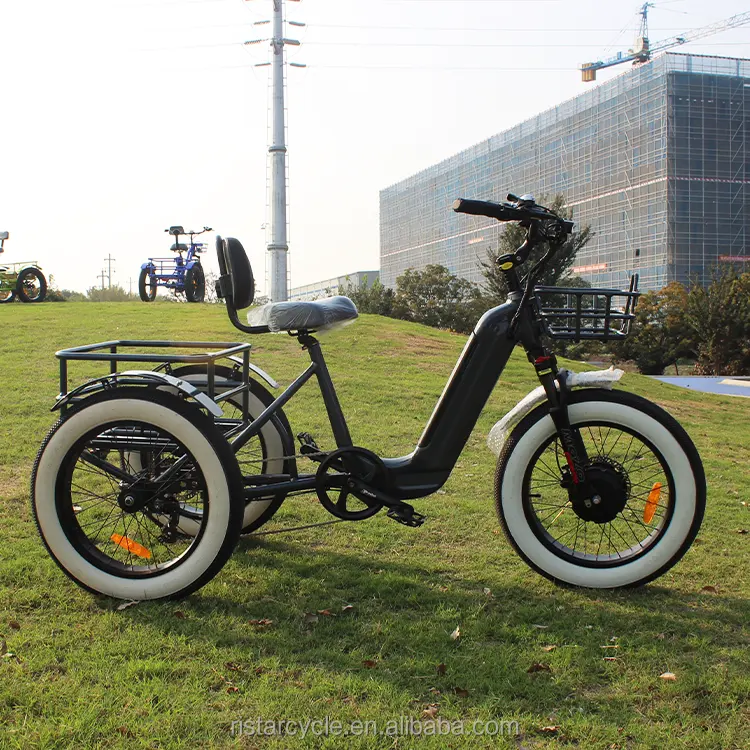 Três rodas elétrica mobilidade Scooter triciclo 3 rodas triciclo elétrico Ebike gordura pneu E Trike 20 polegadas gordura pneu carga ebike