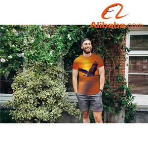 Camiseta en 3D para hombres, camisa con estampado de águila Soaring, divertida, informal, bonita, de Anime, con llama, venta al por mayor - Product Image 4