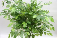 KD 포장 밝은 녹색 대형 인공 Ficus 나무 150cm 흰색 Ficus 잎 실제 터치 Ficus 나무 플라스틱 냄비