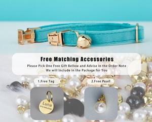 Ensemble collier et laisse personnalisés en velours uni turquoise pour chat et petit chien, avec étiquette nominative gravée sur mesure pour chaton et chiot, clochette dorée offerte - Product Image 4