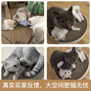 Lezizi Griffoir rond pour chat en carton ondulé durable, sans perte de fibres, pour chats toutes saisons, style minimaliste - Product Image 5