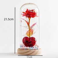 Nouvelle arrivée, rose de la galaxie avec lumière dans un dôme en verre, cadeaux pour la Saint-Valentin, fête des mères, rose éternelle