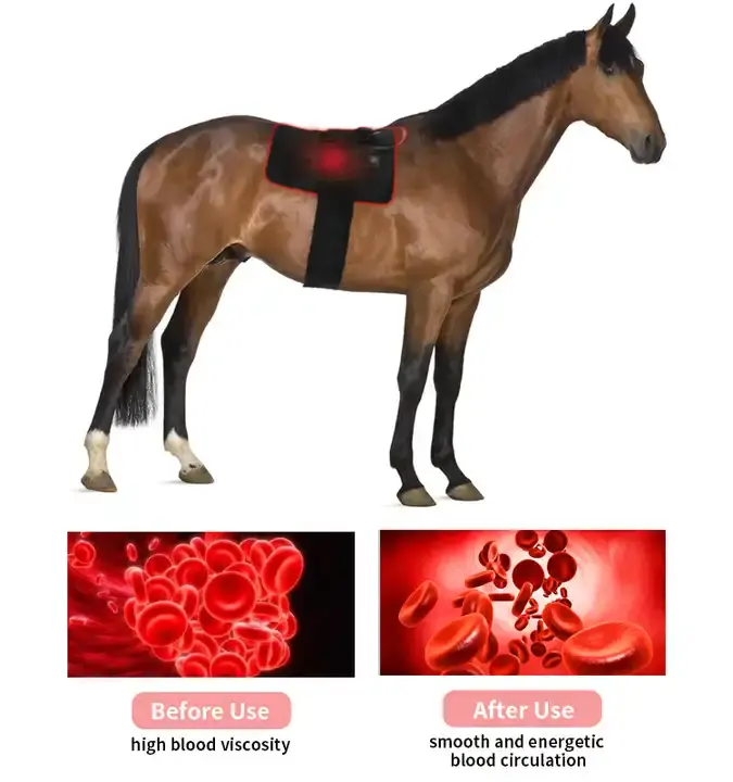 led טיפול באור אדום סוס ייחודי 660nm 850nm עבור סוס גדול וקטן גב סוס אור אדום 240 יחידות 315 יחידות LED כמות