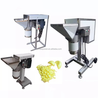 Broyeur industriel de pâte de pomme de terre et de gingembre Broyeur de légumes Broyeur de purée d'oignon haché Machine de fabrication de pâte d'ail et de gingembre