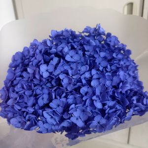 Flores Naturales <span class=keywords><strong>Preservadas</strong></span> y Secas de Alta Calidad a Precios Bajos, Hortensia Anna para Decoración de Bodas, Decoración del Hogar, Arreglos Florales - Product Image 4