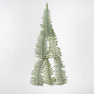 Dicranopteris Dichotoma pressé fleur plante feuille spécimen époxy étui de téléphone portable signet cadre Photo autocollant bricolage à la main - Product Image 3