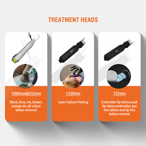 Lột Carbon 1064nm Pico Laser loại bỏ các đốm và nốt ruồi Máy Xóa hình xăm bằng laser picosecond - Product Image 2