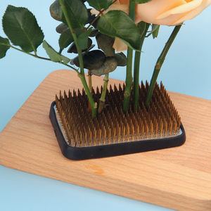 <span class=keywords><strong>Fakir</strong></span> Ikebana Kenzan fleur grenouilles Kenzan rond métal fleur organisateur outil pour l'arrangement de fleurs/Fixation/décoration - Product Image 5