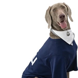 Nuevo Chaleco para Perro Marca Titancore, Corte Ajustado, Color Azul, Dos Patas, Ropa para Perro para Invierno Frío, Ropa de Senderismo para Perros Grandes - Product Image 6