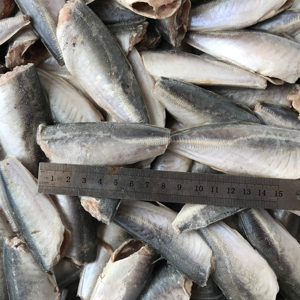 HGT istavrit balığı çin deniz ürünleri kapalı kuyruk kapalı yuvarlak Scad 7-9cm 9-11cm dondurulmuş balık Basa balık - Product Image 1