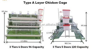 Nouvelle cage à batterie de type Afrique <span class=keywords><strong>pour</strong></span> <span class=keywords><strong>poules</strong></span> <span class=keywords><strong>pondeuses</strong></span>, en acier galvanisé à chaud, collecte automatique des œufs, capacité de 2000 à 5000 oiseaux - Product Image 6