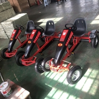 Go Kart de Pedales Sin Costo de Operación - Go Kart Eléctrico Sin Pedales para Parques