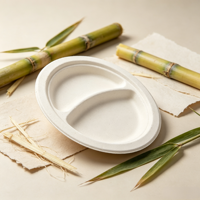 Assiette jetable en pulpe de bagasse robuste, résistante à l'huile, pour la restauration, les buffets et les commandes en gros