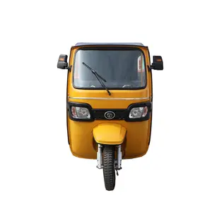 Factory Direct Sales Tuk Tuk Rickshaw 1500W Motor Auto Double Row 6 Passenger Seats