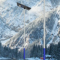 Tiang Lampu Jalan LED Tenaga Surya Terintegrasi dari Paduan Aluminium Galvanis Panas dengan Ketahanan Air IP65 dan Daya AC