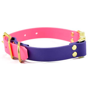 2023 grosir anjing peliharaan warna khusus kontras kalung PVC Set tali kulit personalisasi padat dapat mencetak nama anjing - Product Image 1