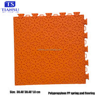 Carreaux de terrain d'intérieur à emboîtement en plastique sol extérieur de hockey à rouleaux dans les terres arides