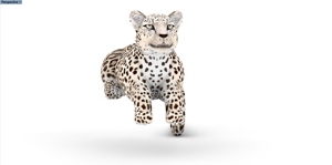 Leopard mô hình quảng cáo sự kiện <span class=keywords><strong>Inflatable</strong></span> nhân rộng <span class=keywords><strong>Cheetah</strong></span> linh vật động vật cho trang trí - Product Image 5
