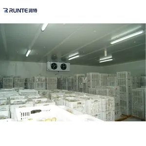 fruit and vegetable cold storage boxes cold room products commercial blast freezer