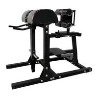Appareil professionnel GHD (Glute Ham Developer) à charge de plaques pour l'entraînement des fessiers, des ischio-jambiers et du tronc, et l'extension dorsale