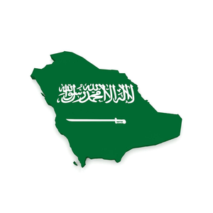 Express-Service Luft- und Seefracht-Spediteur von China Versandagenten nach Algerien Südafrika Saudi-Arabien Tür-zu-Tür-Lieferung - Product Image 1