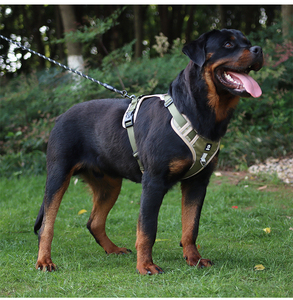 Harnais pour chien durable avec sangles réglables bandes réfléchissantes et anneau en D renforcé pour des promenades sécurisées - Product Image 4