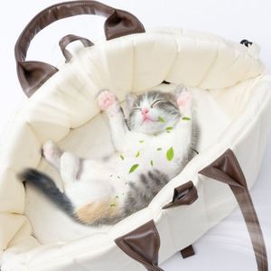 Sac de transport de luxe pour animaux de compagnie, sac à main respirant en tissu polyester, pliable, portable, pour chats et chiens, loisirs - Product Image 4