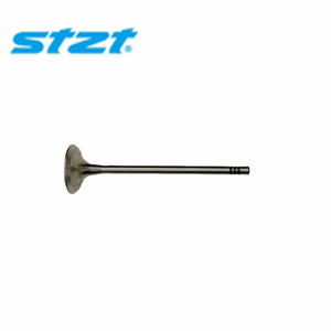 Pièces <span class=keywords><strong>d</strong></span>'auto <span class=keywords><strong>d</strong></span>'échappement <span class=keywords><strong>d</strong></span>'admission de soupapes de <span class=keywords><strong>moteur</strong></span> de qualité STZT 11127797711 pour <span class=keywords><strong>BMW</strong></span> et <span class=keywords><strong>MINI</strong></span> - Product Image 1