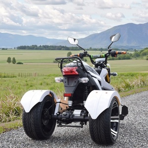 Triciclo Elettrico Aperto 1000W, Batteria al Piombo-Acido 60V, Logo e Colore Personalizzabili, Tre Ruote, 30-50km/h, Autonomia 30-50km - Product Image 5