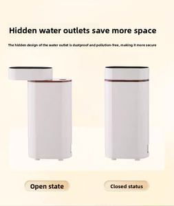 Portable Electric Instant Hot Water Dispenser Plastic Desktop Water Dispenser for Hotels household RV use - Product Image 6