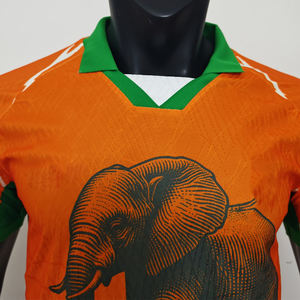 Camisa de Futebol Nova da Copa Africana de 2526 da Costa do Marfim, Versão Jogador, Fãs do Elefante Africano da Costa do Marfim - Product Image 2