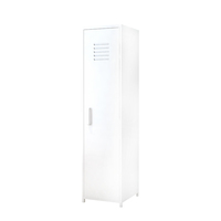 Meubles de maison, design moderne, armoire à deux portes, armoire en acier, casier à vêtements en métal